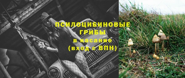 гашик Богородск