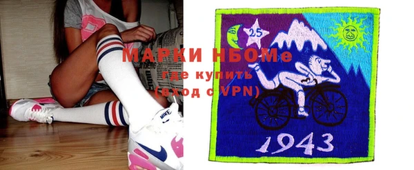 гашик Богородск