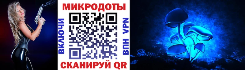 Галлюциногенные грибы мицелий  Городовиковск 